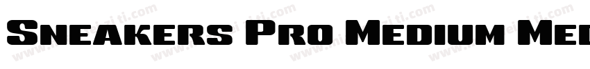 Sneakers Pro Medium Medium字体转换